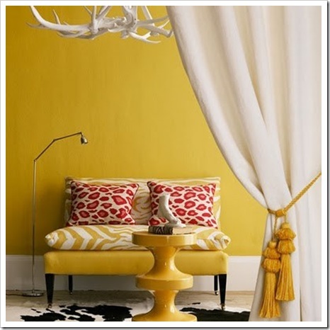 zebra-amarela_thumb6 zebra-amarela_thumb6