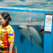 hokkaido_424.jpg