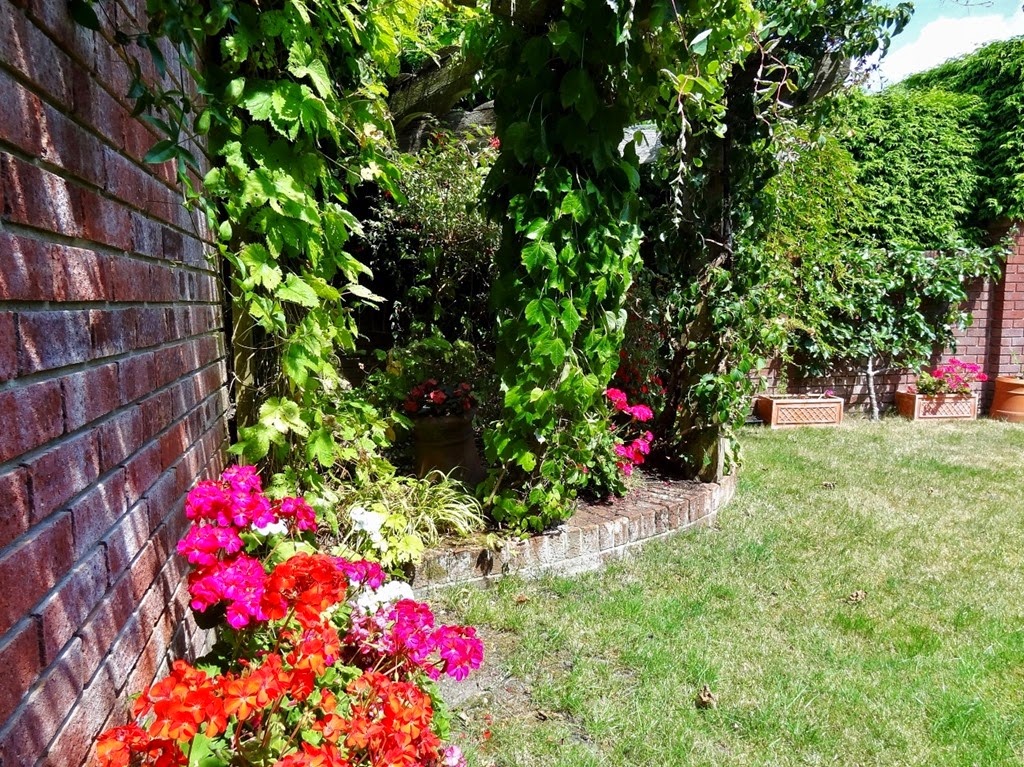 [DSC07396%2520%25281300x974%2529%255B5%255D.jpg]