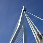 erasmusbrug_rotterdam.jpg