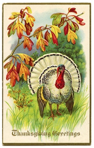 thanksgiving turkey vintage image graphicsfairy005