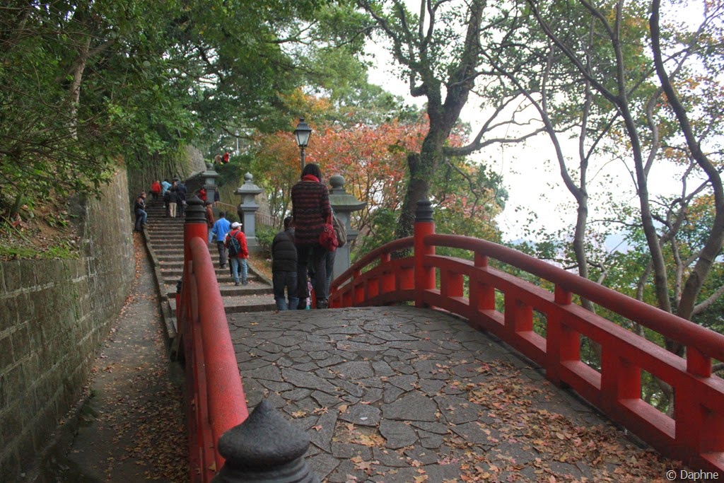 [IMG_6778%255B4%255D.jpg]