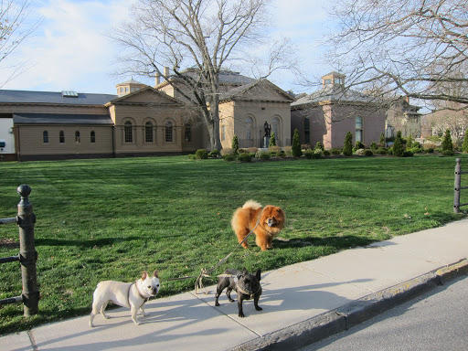 There are many glorious homes here, girls, but let's find some of the local shops!