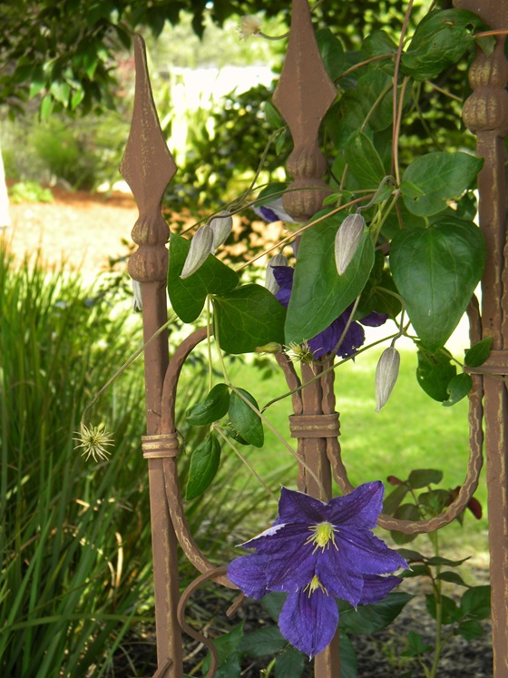 [DSCN51315.jpg]