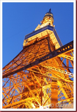 IMG_2413 IMG_2413