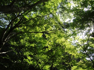 DSC04586 DSC04586