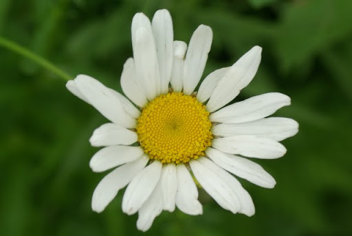 20110423_19