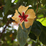 Web Albums App Upload - 14.02.12 23:06:22