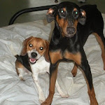 DSCN2299.jpg