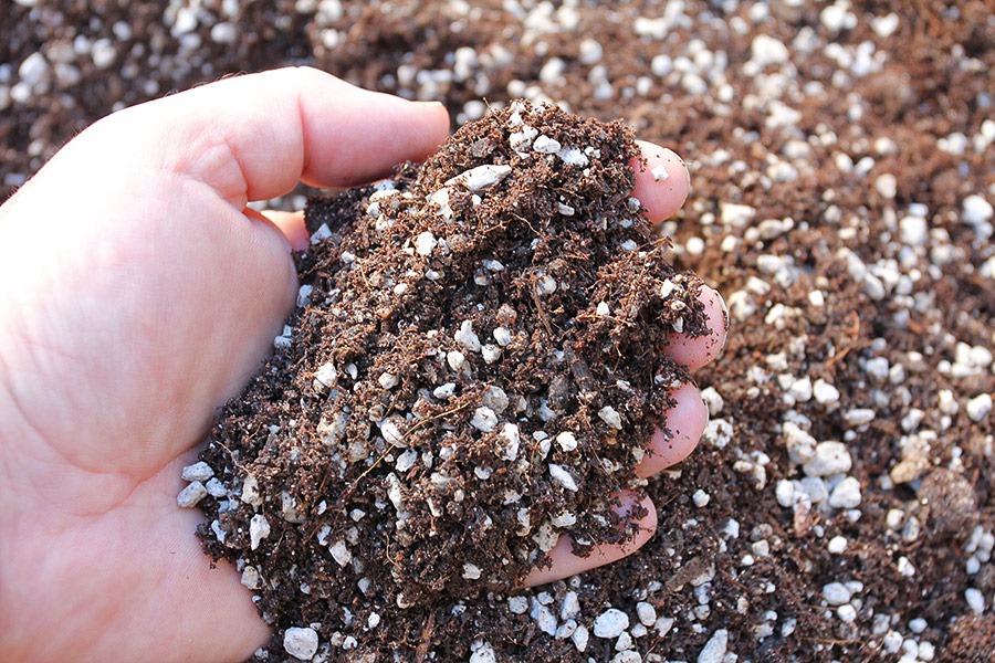 [111008_soil_finished_022.jpg]