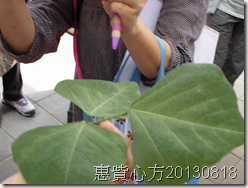 CIMG0228 CIMG0228