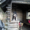 lady_youf_hütte_1.jpg
