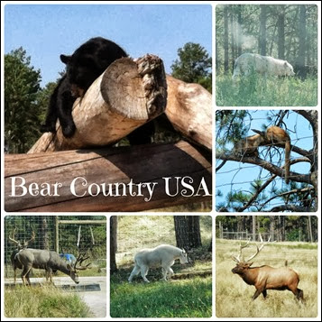 Many Waters Bear Country USA