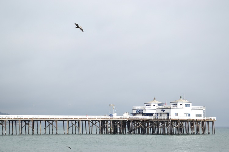 DSC_0005
