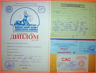 CACIB-article_clip_image002_0003 CACIB-article_clip_image002_0003