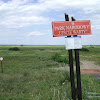 Park Narodowy "Ujście Warty" dsc05782.jpg