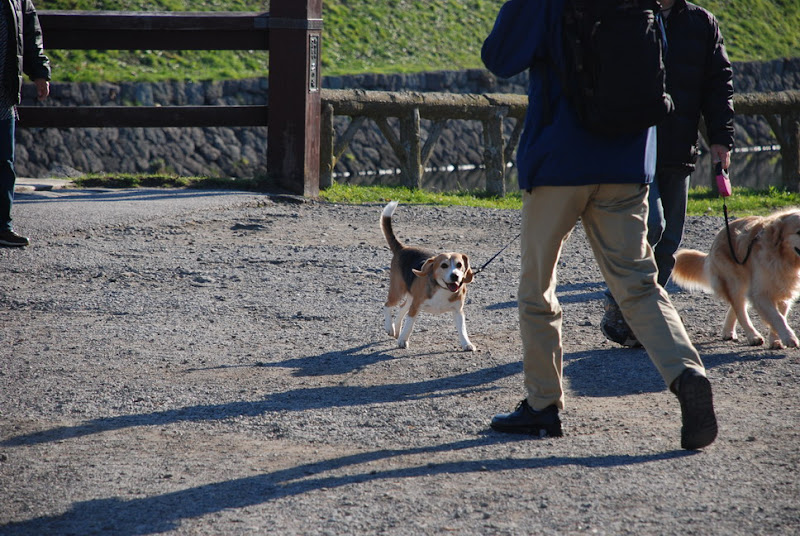 hokkaido_111.jpg