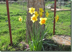 IMG_0525 IMG_0525