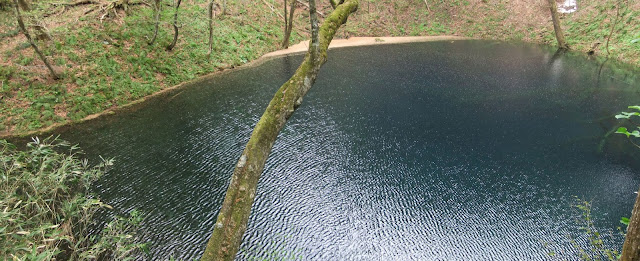 十二湖の青い池。雨の日でもコバルトブルーが美しい。晴れた日ならもっと…(T_T