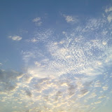 110620101503.jpg