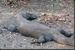 IMG_9580 IMG_9580