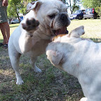 100_6184.JPG