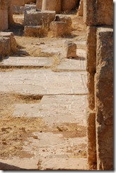 Oporrak 2011 - Jordania ,-  Jerash, 19 de Septiembre  52