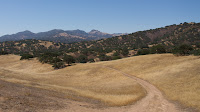 DSC02887.jpg