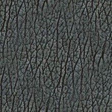 767116308 767116308