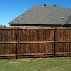 Weekend Project: Fence Staining
