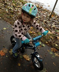 2012-10-28 Bike 008