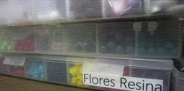 IMG_7501 IMG_7501