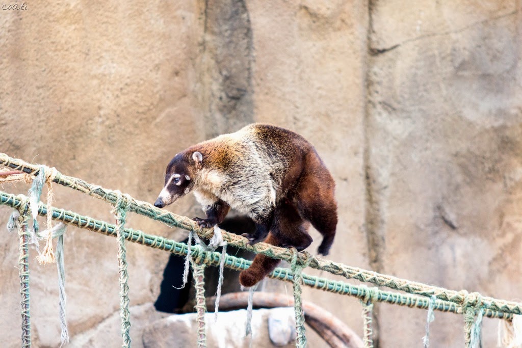 [IMG_0128%255B6%255D.jpg]