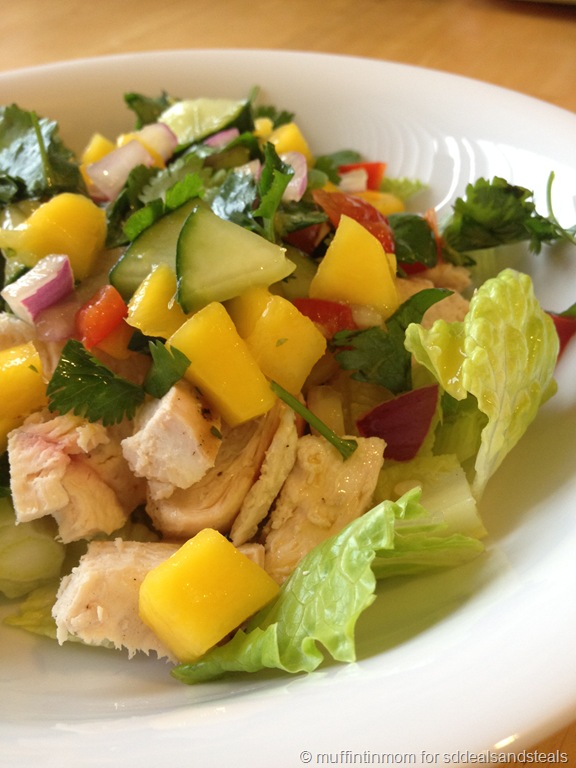 [mango%2520salsa%2520salad%255B22%255D.jpg]