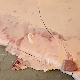 Wax Mark - Wax%252520Mark%252520007.jpg