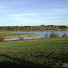 dsc07444.jpg