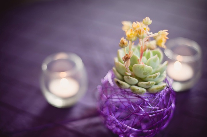 [0730-elly-b-events5.jpg]