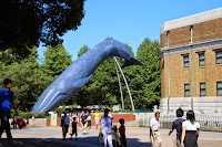 IMG_0874.JPG