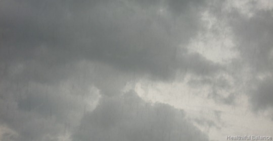 CIMG7846