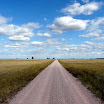 Badlands e Black Hills (127).JPG
