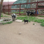P1090689.JPG