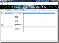 برنامج داونلود أتوماتيكى لرابيدشير Rapidshare Auto Downloader 4.1 - سكرين شوت 1