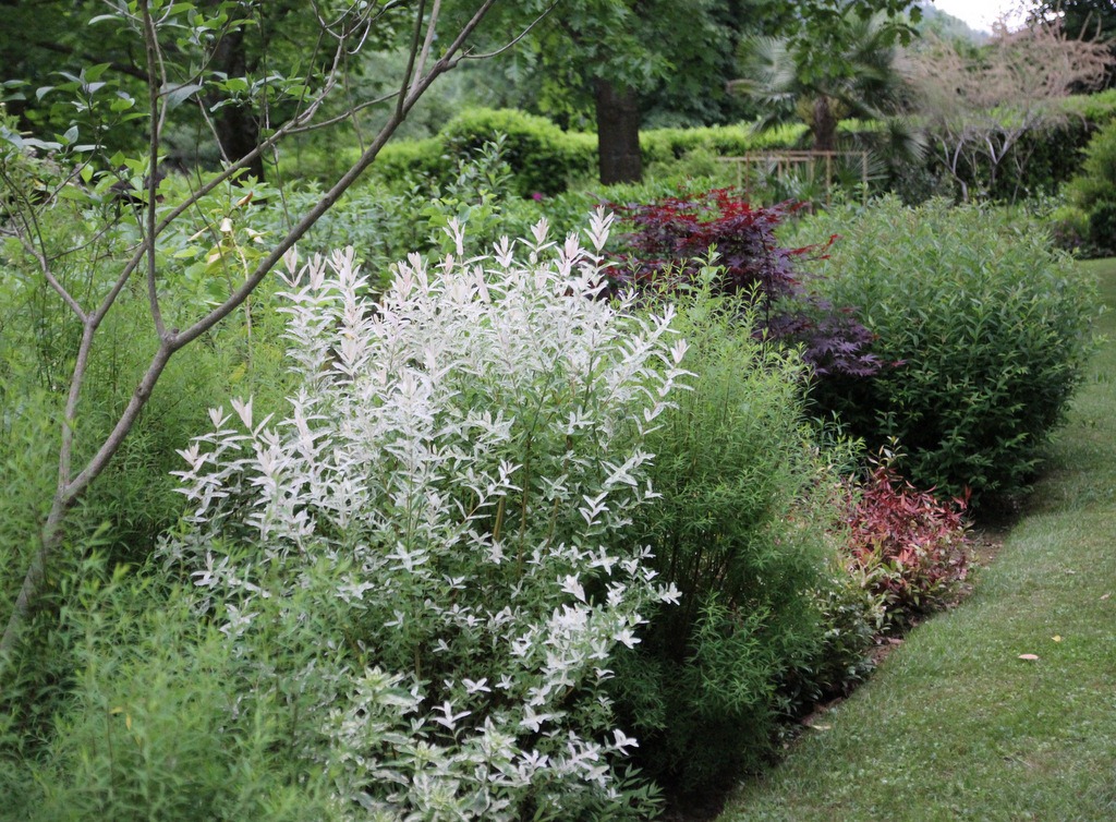 [IMG_9076%255B4%255D.jpg]