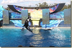 IMG_0363 IMG_0363