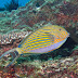 P7024189