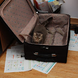 luggage