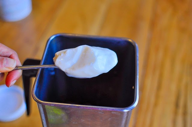 [bulgarian-yogurt-quinoa-smoothie-172%255B4%255D.jpg]