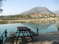 IMG_0606 IMG_0606