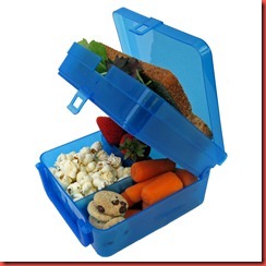 eco-friendly_green_waste-free_lunchbox-4 eco-friendly_green_waste-free_lunchbox-4