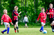 20130608 - WVV E3 - WESTERLEE TOERNOOI - 018.jpg